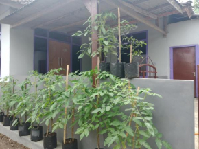 Ahim Homestay